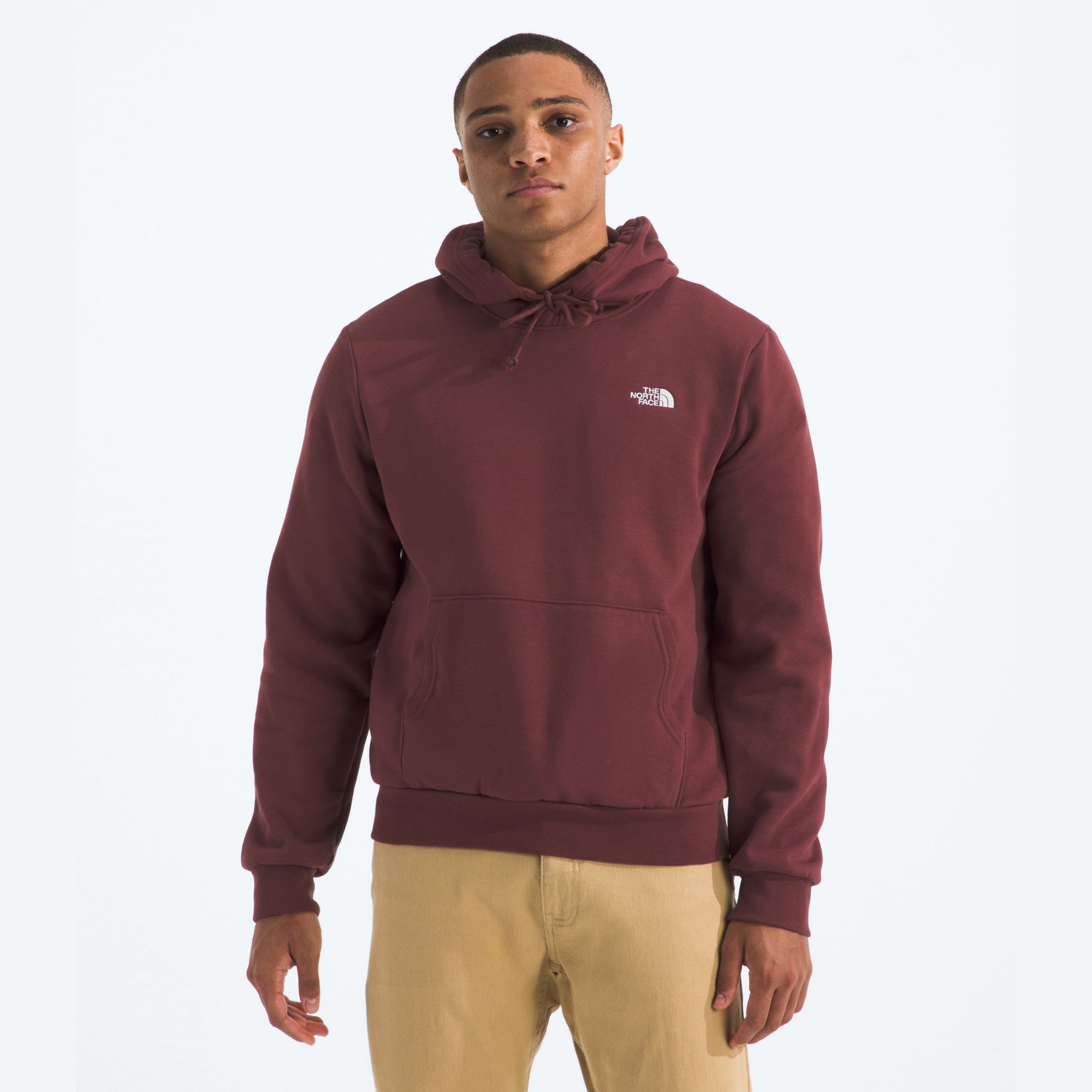 The North Face Men's Evolution Hoodie product image
