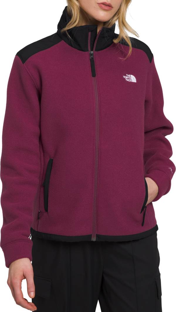 The North Face ALPINE POLARTEC 200 HOODED JACKET - Fleece jacket