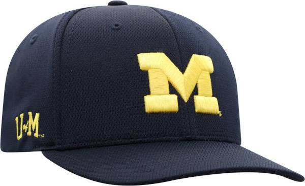 Michigan baseball sales cap