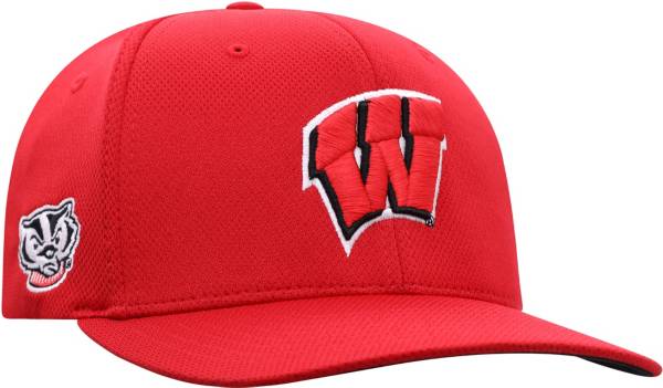 Wisconsin badgers baseball store hat