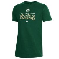 Men's Chicago Cubs Under Armour Green Team Logo Tri-Blend Performance  T-Shirt