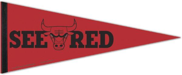 WinCraft Chicago Bulls "See Red" 2022 NBA Playoffs Pennant product image