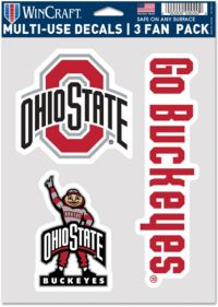 Borsa termica sottile Ohio State Buckeyes con stampa a colori