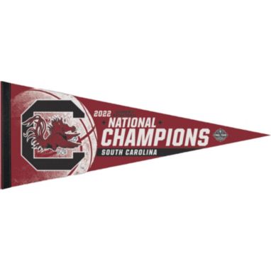 sorry, WinCraft South Carolina Gamecocks 2022 Women's Basketball National Champions Premium Pennant is currently out of stock