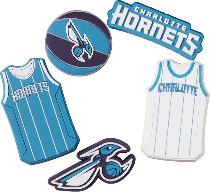 Top 10 Plays from the Classic Charlotte Hornets 