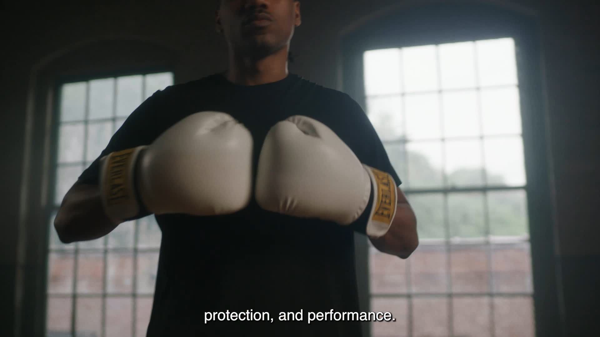 Everlast 1910 Classic Boxing Gloves product