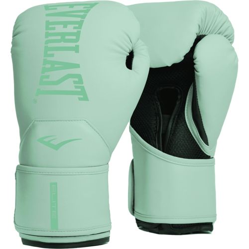 Everlast PowerLock 2 Boxing Gloves | Dick's Sporting Goods