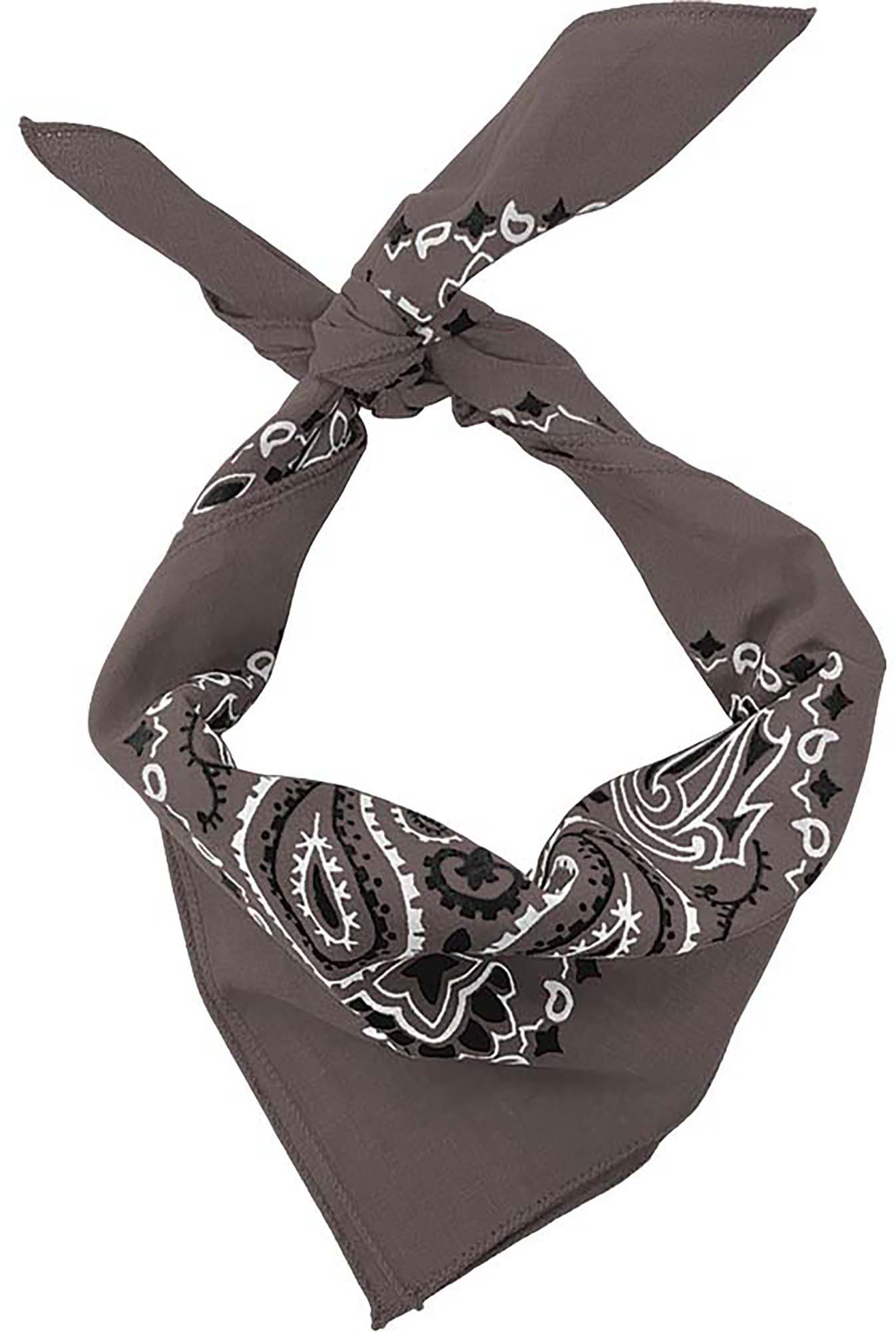 Hav-A-Hank Bandana Motif Paisley - 100% Coton