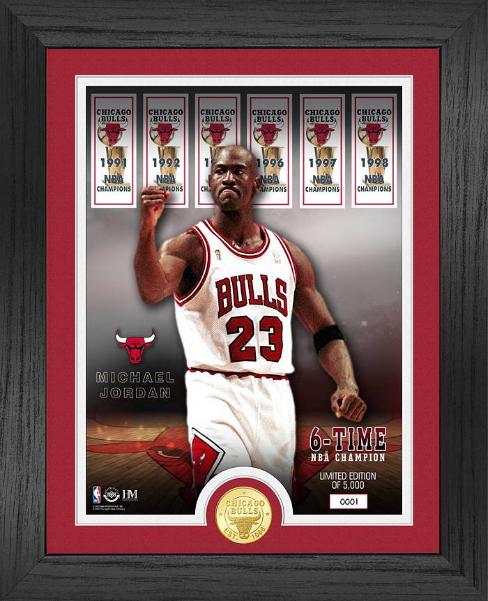 Vintage Chicago Bulls Michael Jordan 23 Jersey Champion Size -  in 2023