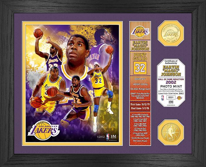 LeBron James Los Angeles Lakers Framed 16 x 20 Stars of The Game Collage