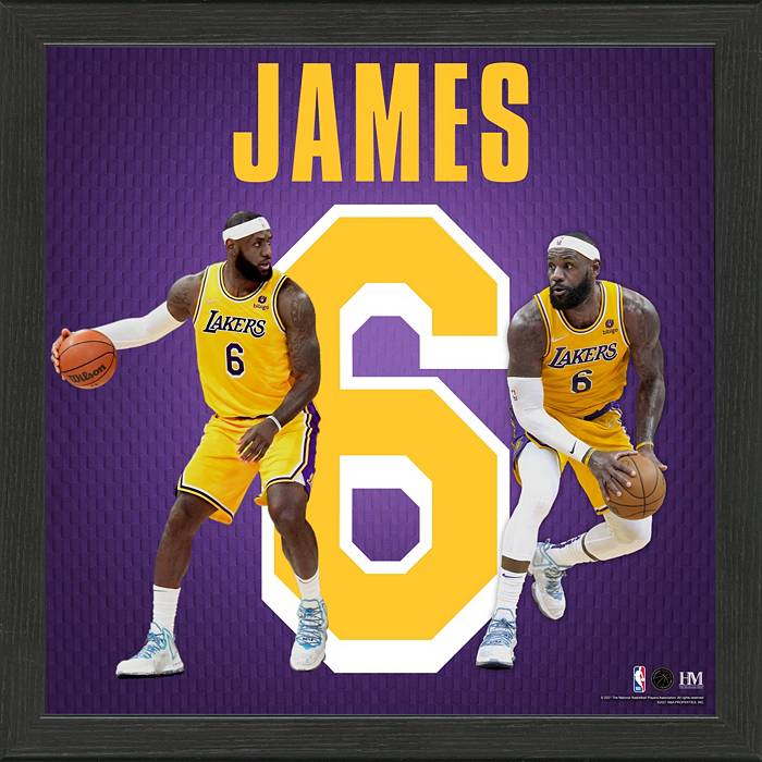 lebron james lakers jersey and shorts