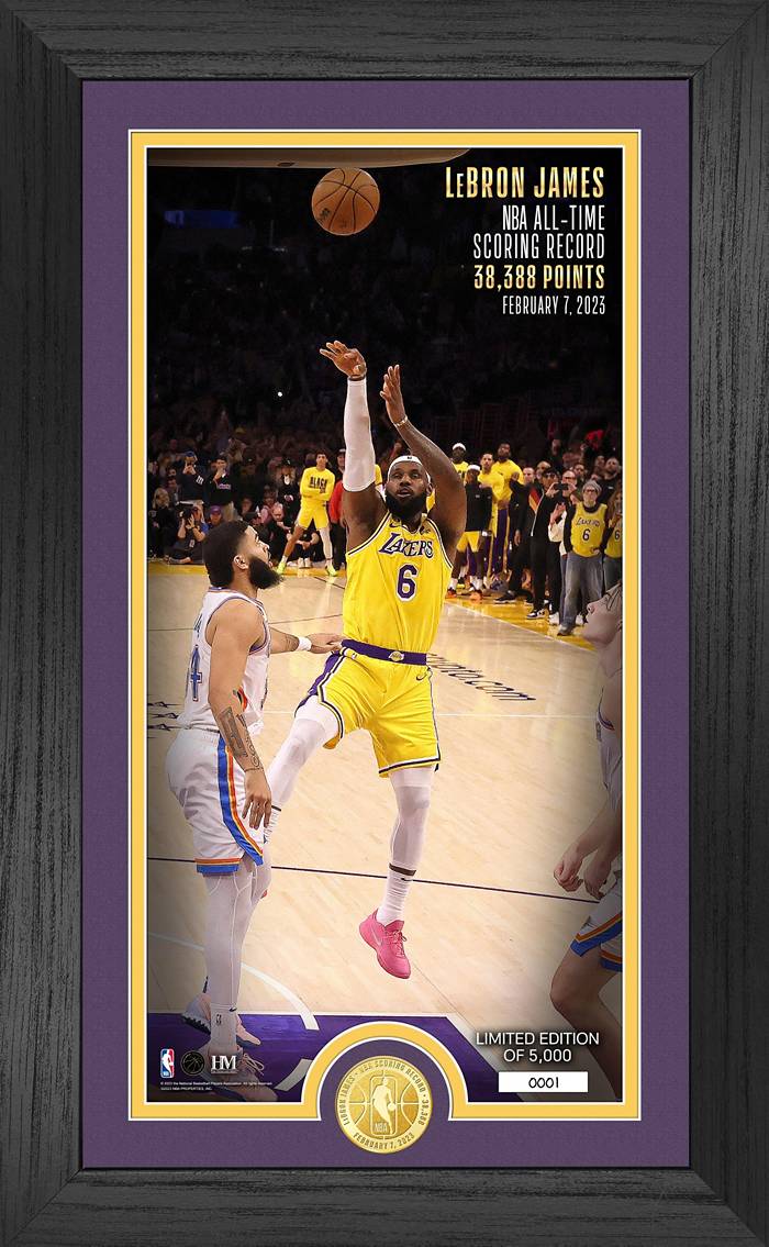 The Highland Mint Los Angeles Lakers LeBron James Impact Jersey Frame