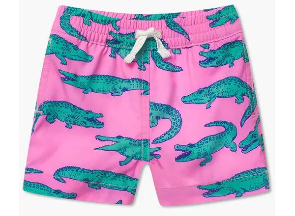 Chubbies best sale flamingo shorts