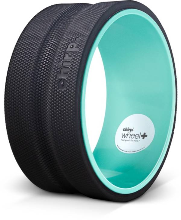 Chirp Wheel XL – 10” | Dick's Sporting Goods