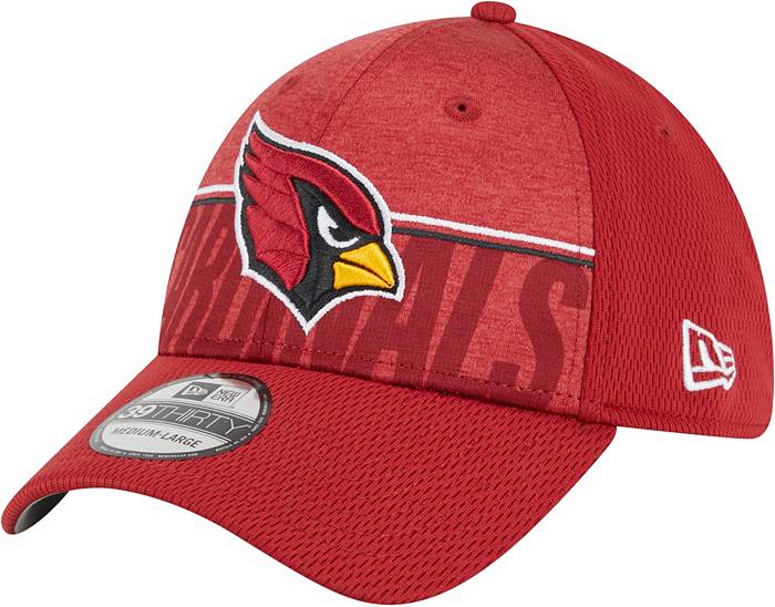 Nike Men's Arizona Cardinals Sideline Legend T-Shirt - Velocity Black - M (Medium)