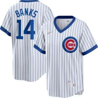 Men's Majestic Chicago Cubs #14 Ernie Banks Grey Road Flex Base Authentic  Collection MLB Jersey