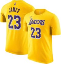 Lebron james lakers jersey dicks online