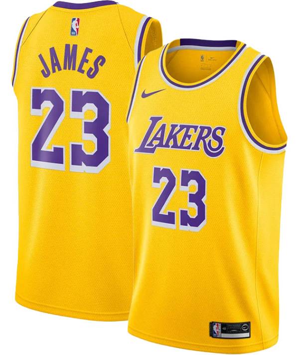 Lebron james lakers sales jersey dicks