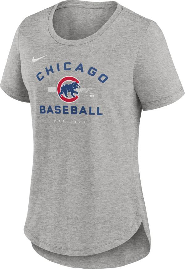 Nike Women's Chicago Cubs Grey Pros T-Shirt product image