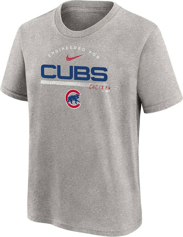 Nike Youth Chicago Cubs Gray Team Engineered T-Shirt