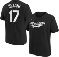 Men's Los Angeles Dodgers Shohei Ohtani Nike Gray 2024 Fuse