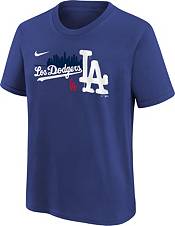 Youth Nike Freddie Freeman Royal Los Angeles Dodgers City Connect Replica Player Jersey, L