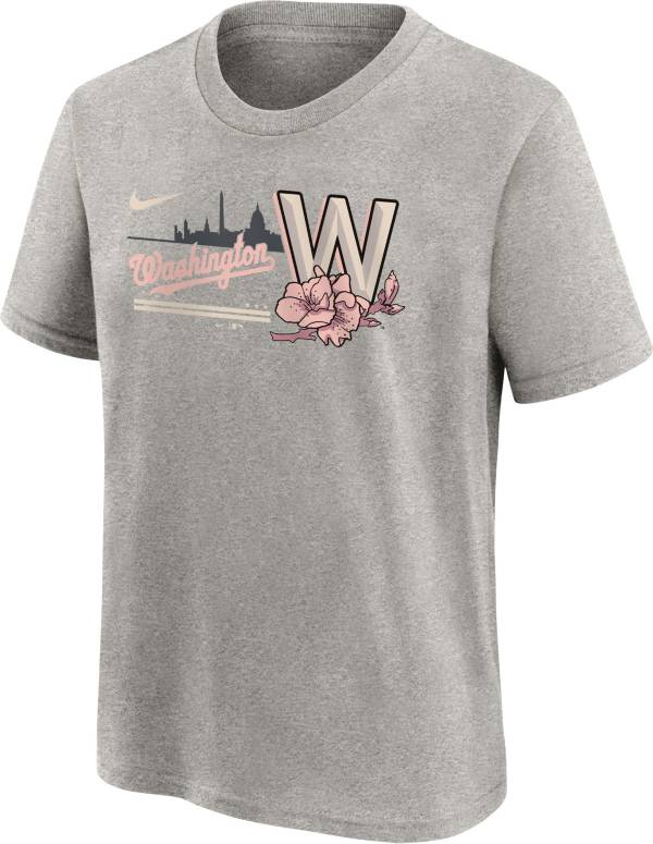 Nike Youth Washington Nationals Gray City Connect Graphic T-Shirt product image