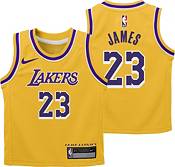 Nike / Youth Los Angeles Lakers LeBron James #23 Blue Hardwood Classic T- Shirt