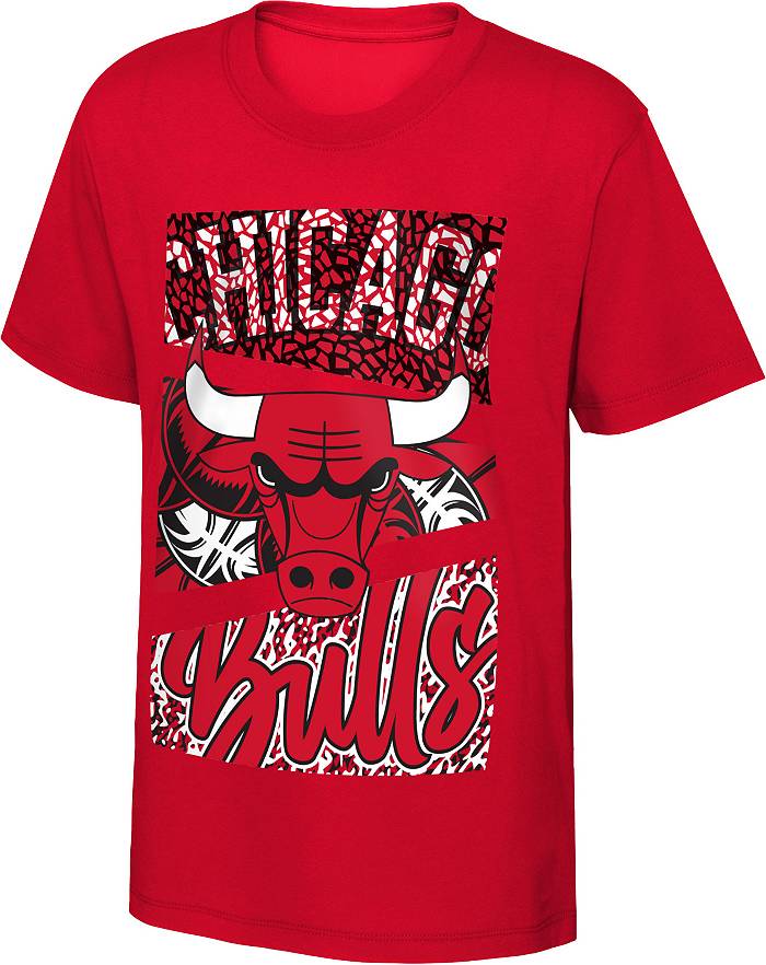 Outerstuff Youth Red Chicago Bulls Fade Away Shorts