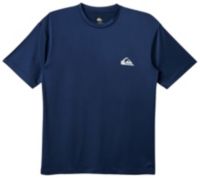 Quiksilver Men's Everyday Short Sleeve Surf T-Shirt