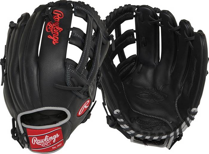 Rawlings select pro lite youth baseball glove Aaron Judge edition