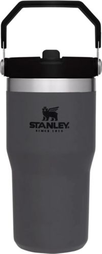 Stanley Classic 20oz Iceflow Flip Straw Tumbler 
