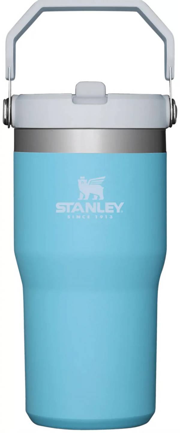 Stanley The IceFlow Flip Straw 20 oz. Tumbler, Pool Cub