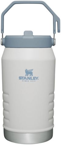 Stanley The IceFlow 30 oz Double-wall vacuum insulation Charcoal BPA Free  Insulated Straw Tumbler - Ace Hardware