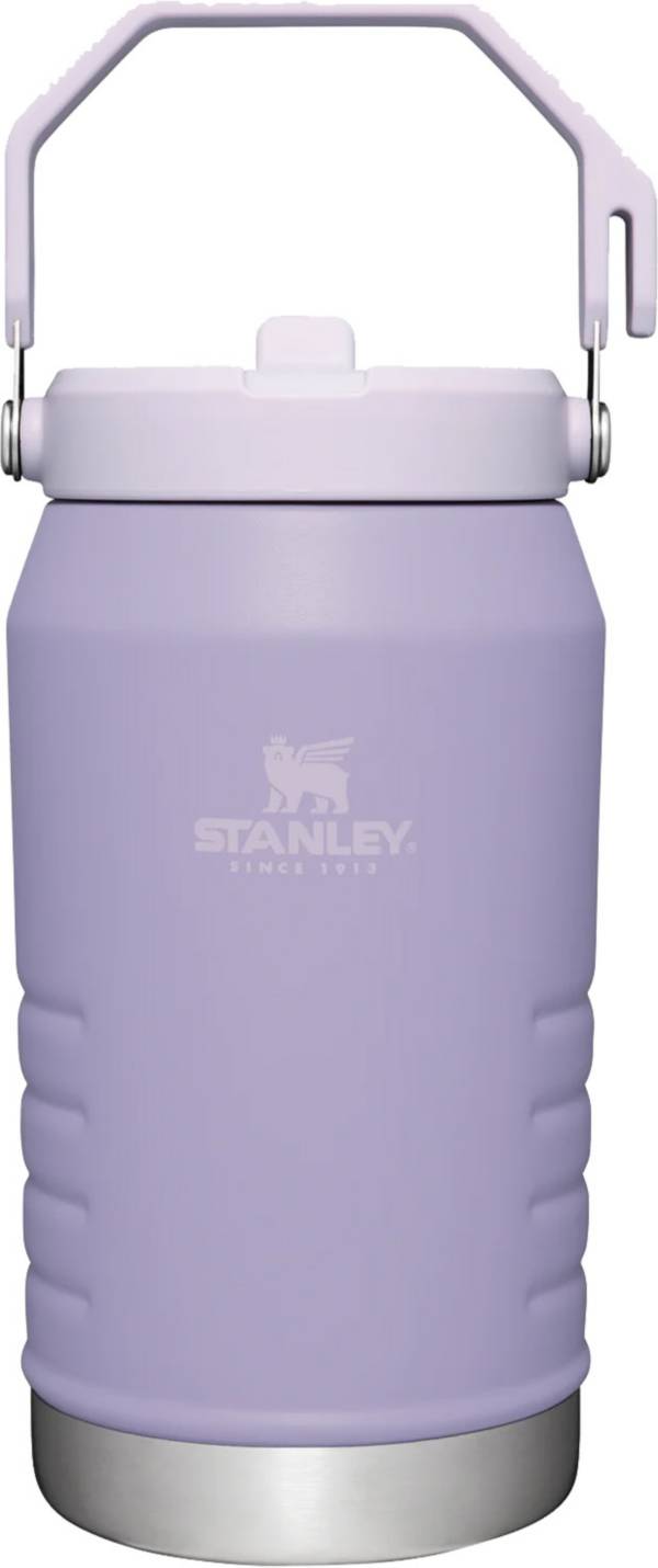 Stanley The IceFlow 20 oz Double-wall vacuum insulation Pool BPA Free  Insulated Straw Tumbler - Ace Hardware