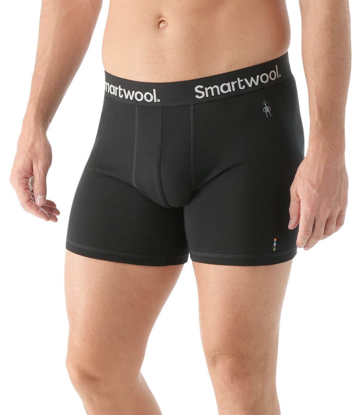 SmartWool Men's Everyday Merino Brief Boxer product image