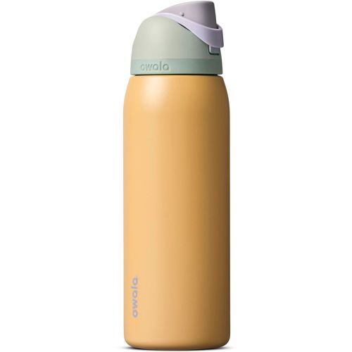 Owala 24 oz. FreeSip Stainless Steel Water Bottle | Dick's