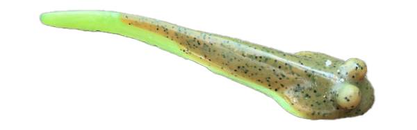Venom Lures Soft Hand Poured Gobies product image