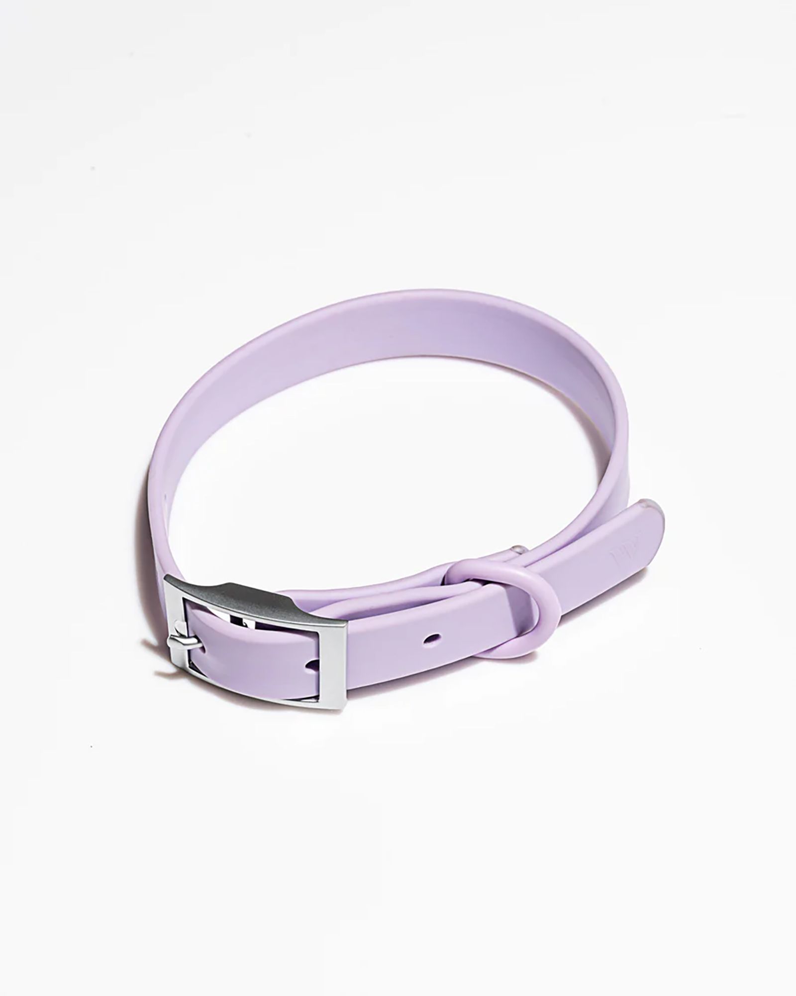 Wild One Adjustable Dog Collar product image
