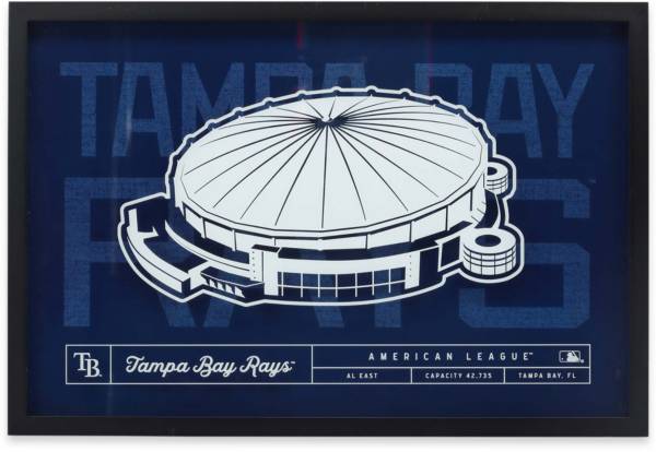 Rays Baseball Highland Mint Randy Arozarena Tampa Bay Rays Impact Jersey Frame