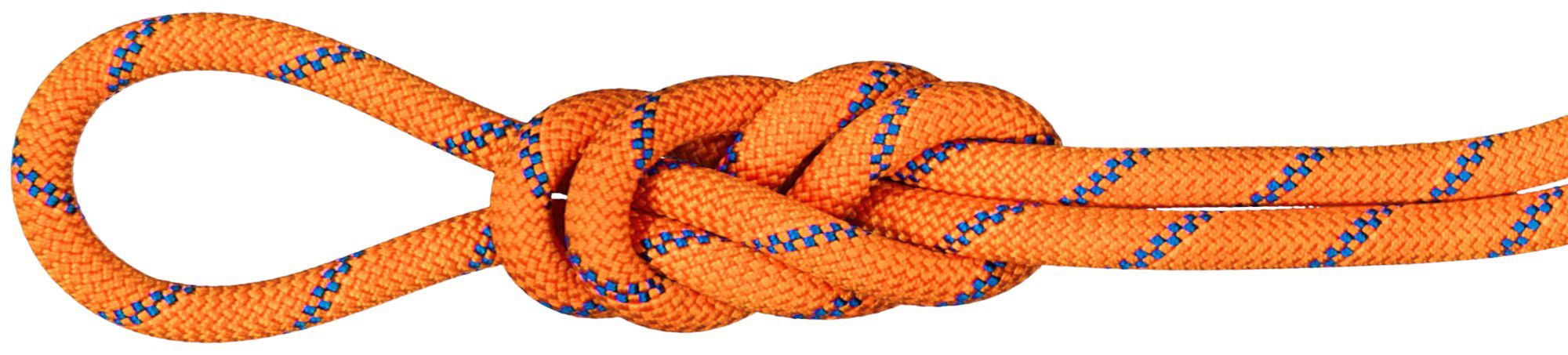 Mammut 9.0 Alpine Sender Dry Rope product image