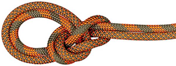 Mammut 9.5 Crag Dry Rope Duodess product image