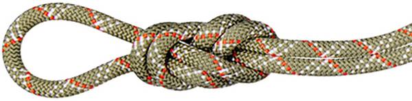 Mammut 9.5 Gym Classic Rope product image