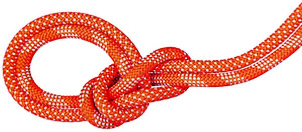 Mammut 9.8 Crag Classic Rope Duodess product image