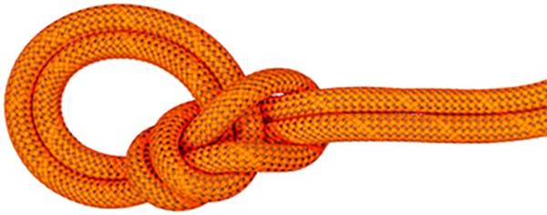 Mammut 9.8 Crag Dry Rope product image