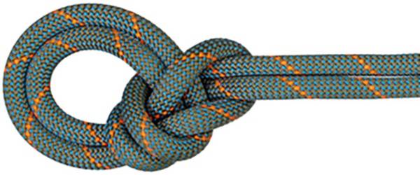 Mammut 9.9 Crag Workhorse Dry Rope product image