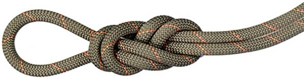 Mammut 9.9 Gym Workhorse Classic Rope product image