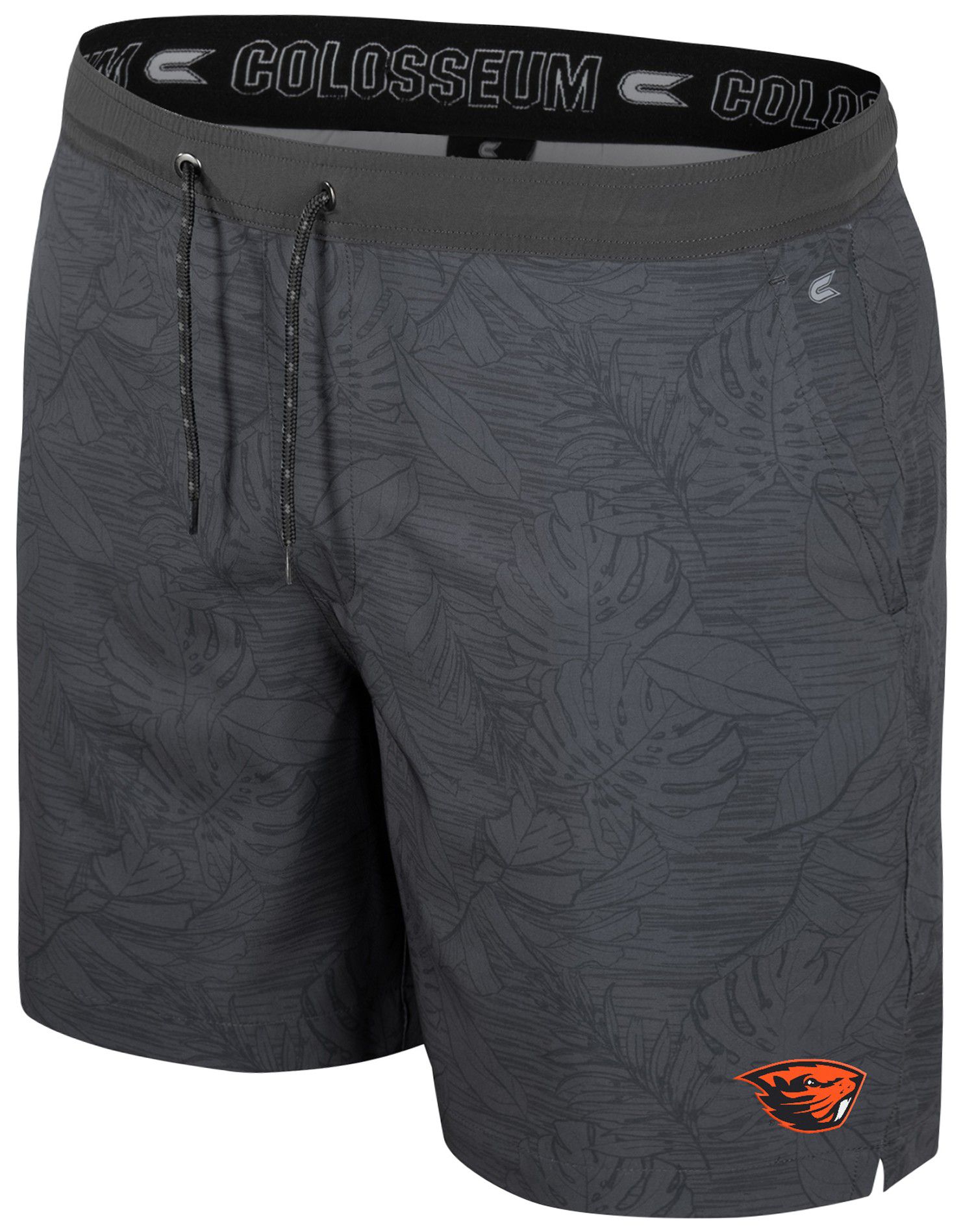 Colosseum Men's Ohio State Buckeyes Charcoal Groves Shorts product image