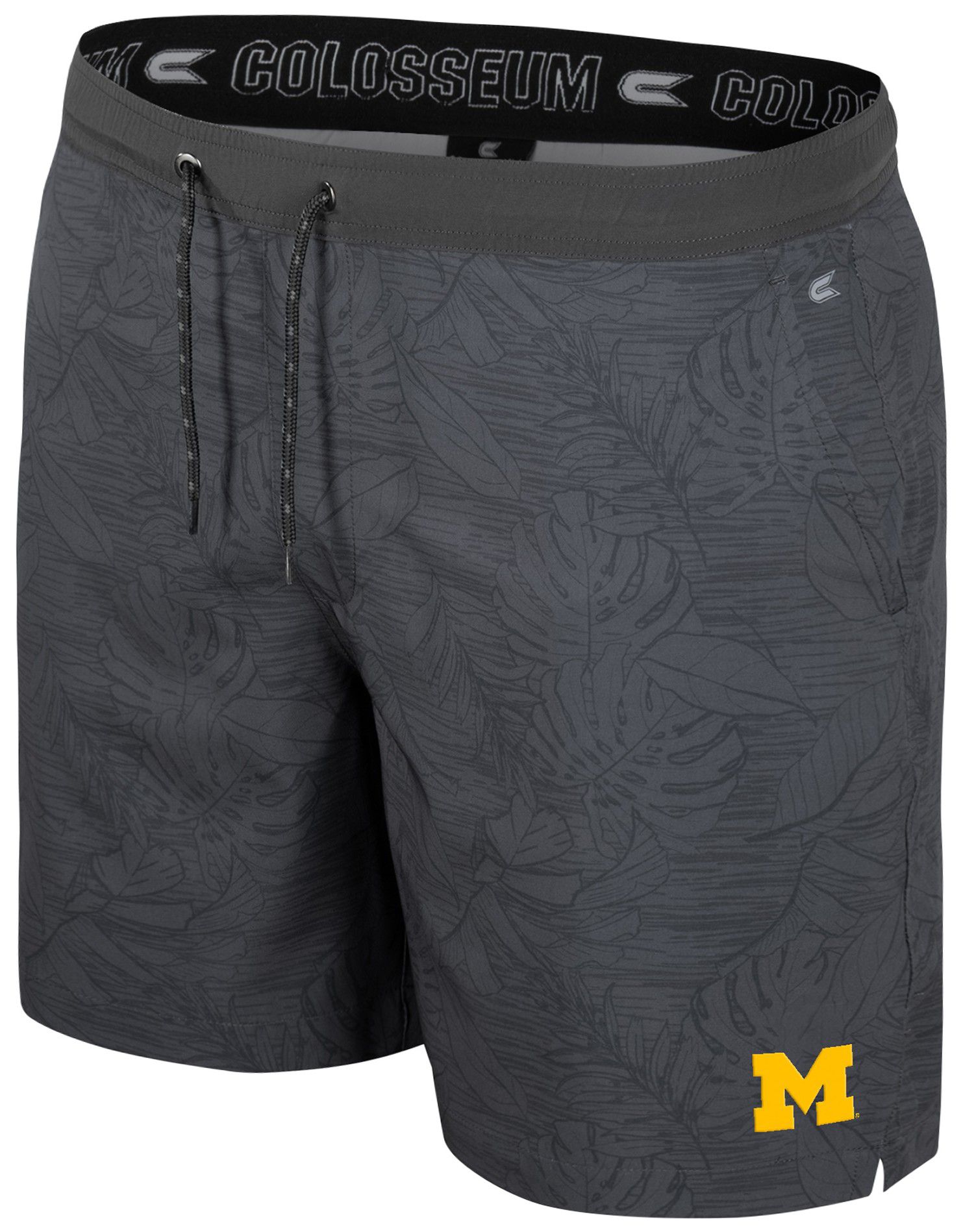 Colosseum Men's Michigan Wolverines Charcoal Groves Shorts product image