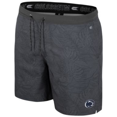 sorry, Colosseum Men's Penn State Nittany Lions Charcoal Groves Shorts is currently out of stock